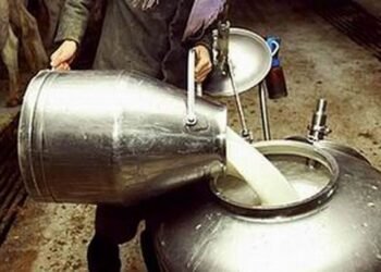 Pengusaha Susu Lokal Keluhkan Harga