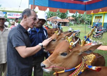 Said Abdullah: Kontes Sapek Sonok Harus Go Internasional