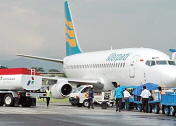 Pemerintah Tak Lelah Cari Investor Merpati