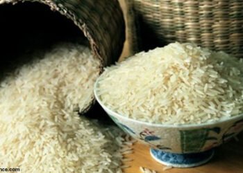 Bulog Beli Beras Petani 3,2 Juta Ton