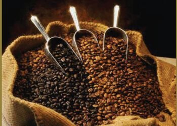 Kopi Flores Ramaikan Pameran SCAA Seattle