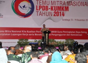 UMKM Harus Ditopang Regulasi dan Subsidi