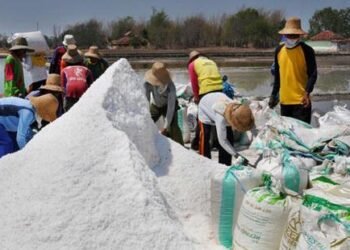 Impor Garam Harus Dihentikan Bertahap