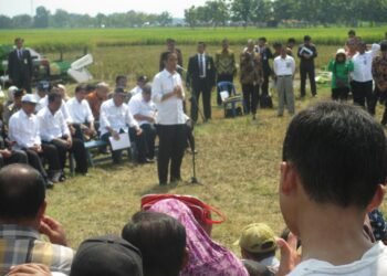 Jokowi Tegaskan Tidak Akan Impor Beras Lagi