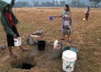 111.000 Hektar Sawah Mengalami Kekeringan