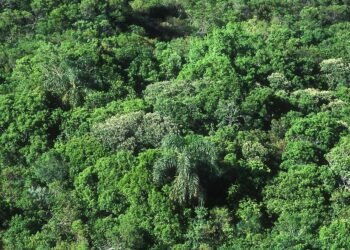 Pemerintah Ajak Pelaku Bisnis Turunkan Emisi Gas Rumah Kaca