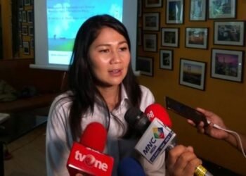 Pertamina Raih US$295,1 Juta dari BTP New Initiatives