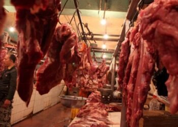 Perlu Kebijakan Khusus Agar Harga Daging Sapi Turun