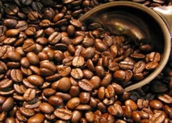 Kopi Indonesia Mampu Gerakkan Produktifitas Silicon Valey