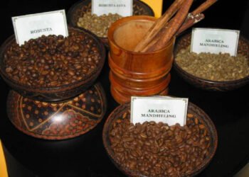 Jelang SCAA Expo 2016, Kemendag Gelar Apresiasi Kopi Indonesia