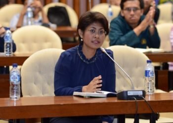 Mercy Barends: Kenaikan TDL  Tanpa Ada Pembicaraan dengan DPR