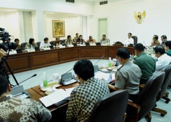 Presiden: Jangan Ada Izin Baru Lagi di Lahan Gambut