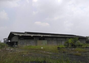 BPOM Temukan Zat Berbahaya Dalam Jamu ‘Kuat’