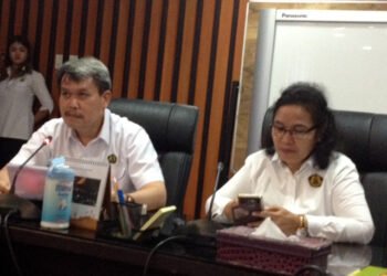 Indonesia Miliki 40% Energi Panas Bumi Dunia