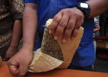 Wanita Ini Sembunyikan  Ganja di Tempat Penyimpanan Beras