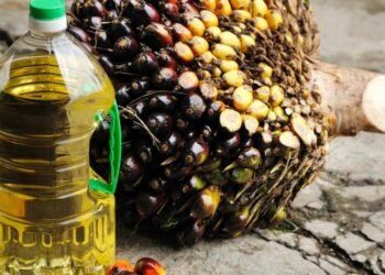 Gapki : Potensi Pasar CPO Rusia-Eropa Timur Sangat Besar