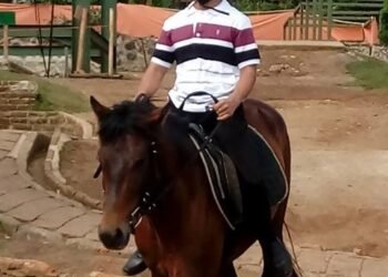 Inilah Laporan Tim Hukum Ahok Atas Kesaksian Palsu, Pedri Kasman