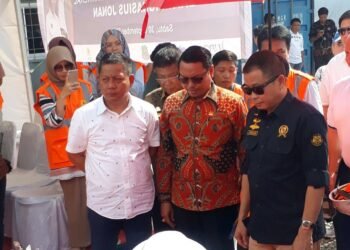 Mukhtar: Beri Kebijakan PLTB Guna Masuk ke 35.000 MW