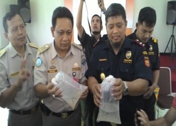 Bea Cukai Bandara Soetta Gagalkan Penyelundupan 18.228 Ekor Benih Lobster Tujuan Singapura