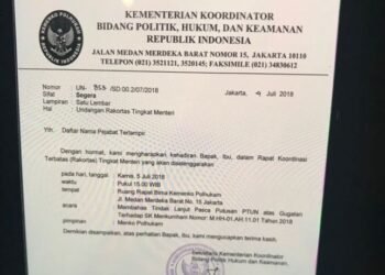 Diduga Salahkan Jabatan, Hanura Desak Jokowi Evaluasi Wiranto