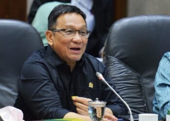 Bisakah Hashim Djojohadikusumo Jadi Presiden?