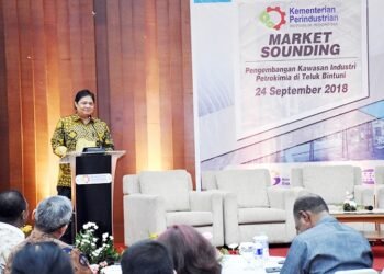 Kawasan Industri Teluk Bintuni Ditargetkan Serap Investasi USD 800 Juta