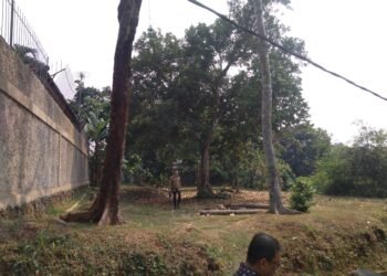 Tidak Terima Lahannya Akan Dilintasi Kabel Sutet, Warga Desa Susukan Menggugat PLN