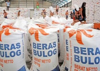 Bulog Berharap Pemerintah Bayar Dana Pengganti