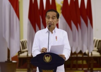 Jokowi: Kebijakan Lockdown Domain Pemerintah Pusat