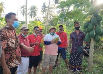 Berdayakan Lahan, Nyoman Parta Dorong Warga Perbanyak Sumber Pangan