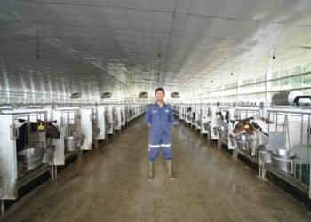 Demi Cegah Covid-19, Karyawan Pabrik Susu Olahan Greenfields Tak Pulang