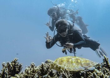 Kemenparekraf Perkirakan Produk Ekowisata Sangat Diminati Pascapandemi