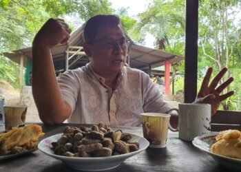 Gerindra: Desa Penyangga Utama Ketahanan Pangan Nasional