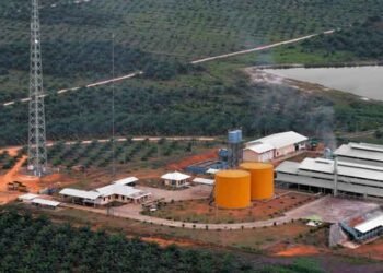 DSNG Koreksi Perkiraan Realisasi Capex di 2020 Jadi Rp700 Miliar