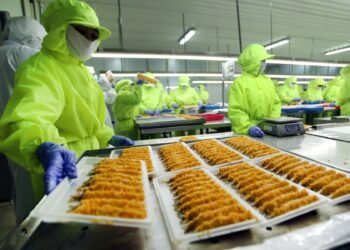 Bidik Penjualan USD190 Juta, PMMP Siap Bangun Pabrik Pakai Dana IPO