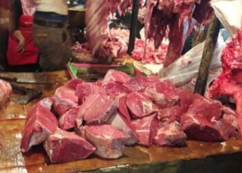 Rumah Potong Hewan di Tangsel Mogok