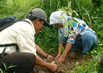 Banggar DPR Akui Dana Perlindungan Lingkungan Kecil