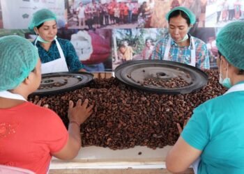 Kemitraan UMKM dan Usaha Besar Berkontribusi Pada Pertumbuhan Ekonomi Inklusif