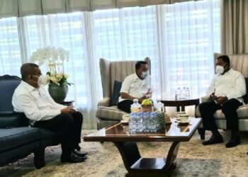 Halmahera Tengah Siap Panen Perdana Padi Varietas Unggul Bantuan  Moeldoko