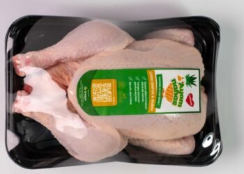 Ayam Nanas Pertama di Indonesia Dari Sreeya Sewu