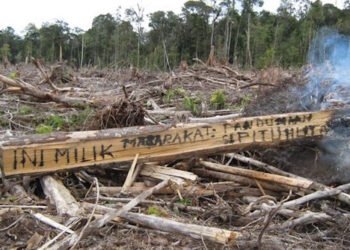 Kehadiran PT TPL Timbulkan Konflik Horizontal di Tano Batak