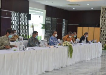 Indonesia Berkomitmen Capai Net Zero Emission