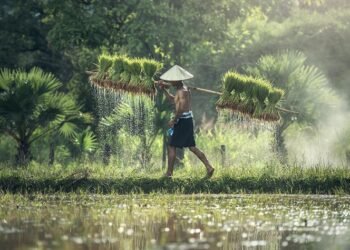 Sungguh Malang Nasib Petani: Menggugat Hak yang “Terampas”