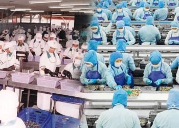 Restrukturisasi Utang, Anak Usaha CPRO Cari Pinjaman USD79,58 Juta