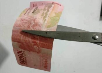 SiLPA Rp388 triliun, Tagihan RS Puluhan Triliun Belum Dibayar: Ada Apa?