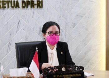 PDI Perjuangan