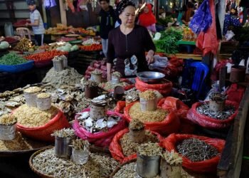 Indonesia sudah melewati puncak gelombang kedua Covid-19 dimana pernah menyentuh 50.039 kasus harian, kini berada di bawah 3.000 kasus harian