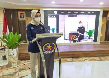 Sesuai UU No. 22 tahun 2001 tentang Migas, BPH Migas mempunyai tugas utuk melakukan pengaturan dan pengawasan agar ketersediaan BBM yang ditetapkan oleh Pemerintah dapat terjamin di seluruh wilayah NKR