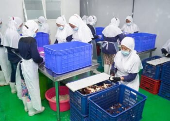 Jumlahpelaku IKM mencapai 4,4 juta unit usaha atau berkontribusi sebesar 99,77% dari total sektorindustri secara keseluruhan. Sementara itu, IKM mampu menyerap sebanyak 66,25% dari total 15,6 juta tenaga kerja di sektor industri.