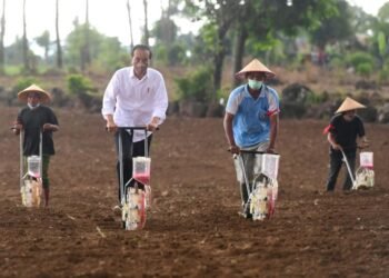 Presiden Jokowi Tanam Jagung Bersama Petani di Jeneponto